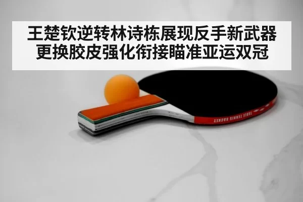 table tennis racket rubber